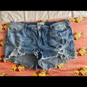 Torrid jean shorts